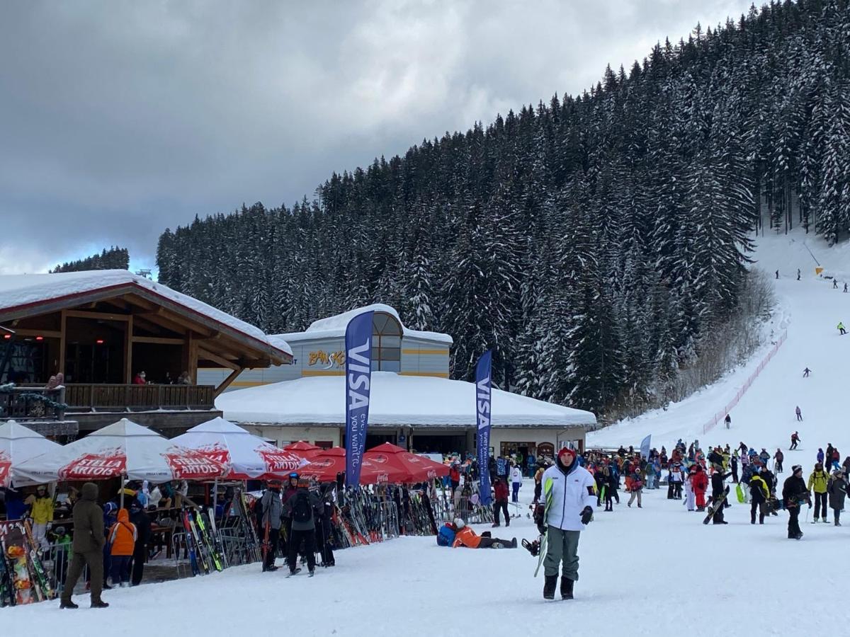 Luxury Private Studio In Green Life Bansko Exteriör bild