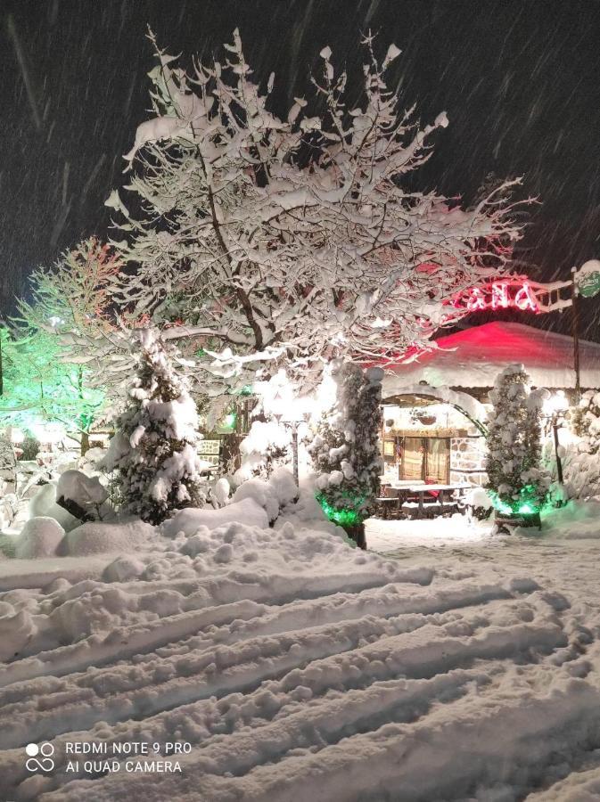 Luxury Private Studio In Green Life Bansko Exteriör bild